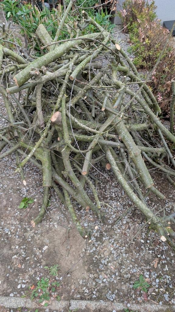 Amerikaans eikenhout, Tuin en Terras, Haardhout, Ophalen of Verzenden