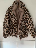 Winter jack dames, Ophalen, Nieuw, Maat 38/40 (M), Bruin