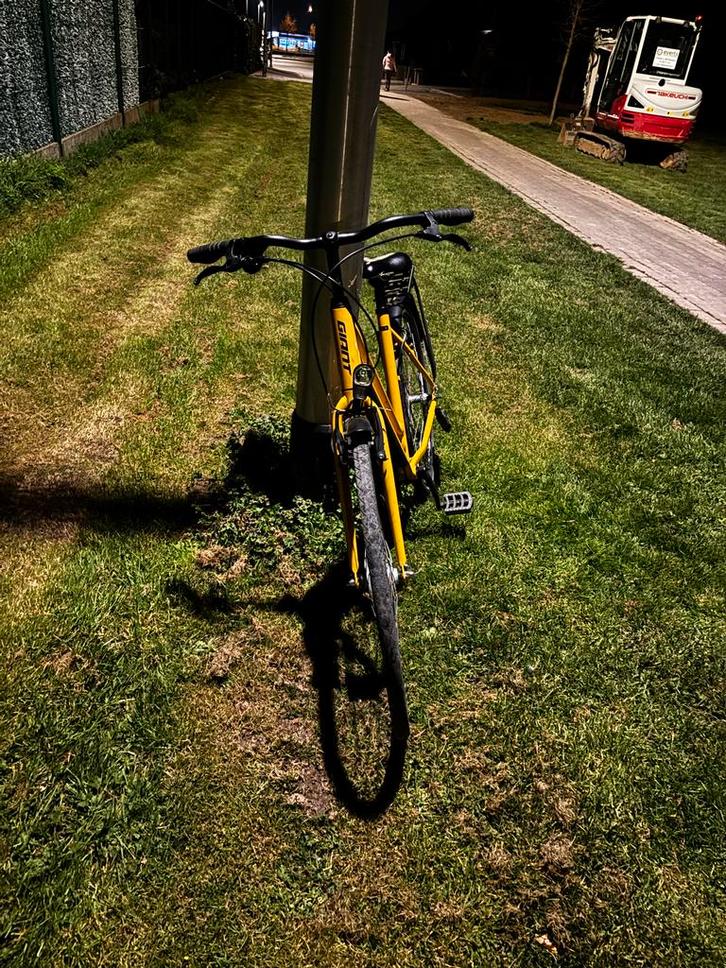 Giant RS 3 fiets- Geel, Fietsen en Brommers, Fietsen | Dames | Damesfietsen, Gebruikt, Giant, Versnellingen, 53 tot 56 cm, Ophalen of Verzenden