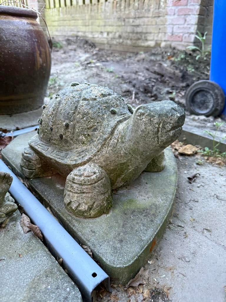 Betonnen schildpad beeld, Tuin en Terras, Tuinbeelden, Ophalen, Gebruikt, Beton, Dierenbeeld