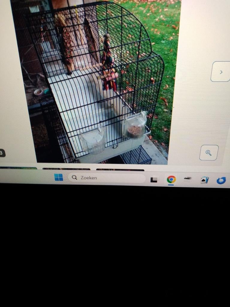 Ferplast vogelkooi met speeltjes., Dieren en Toebehoren, Vogels | Hokken en Kooien, Ophalen, Gebruikt, Metaal, Vogelkooi