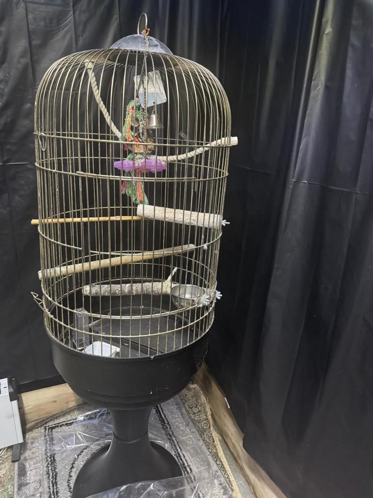 Vogel/papagaaienkooi, Dieren en Toebehoren, Vogels | Hokken en Kooien, Ophalen, Vogelkooi