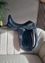 Graziozo Domenico 17,5 inch, Ophalen of Verzenden, Dressuur