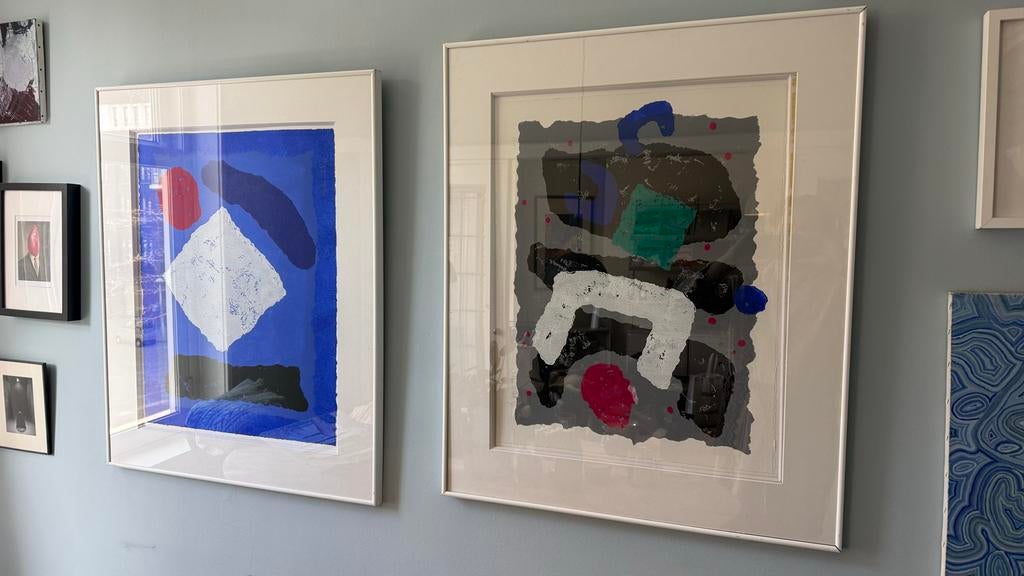 Gave zeefdrukken kunstwerk schilderij, Ophalen of Verzenden