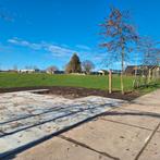 Weiland te huur, Dieren en Toebehoren, Weidegang