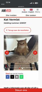 TARCIN GEZOCHT!!!!, Dieren en Toebehoren, Vermiste en Gevonden Dieren