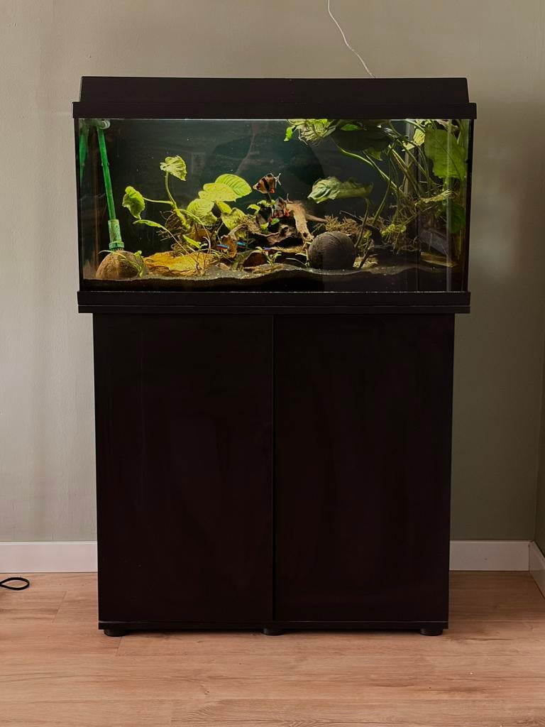 Compleet aquarium + kast + Eheim filter + Pro Aquatest, Dieren en Toebehoren, Ophalen, Gebruikt, Gevuld zoetwateraquarium, Inclusief vissen