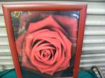 schilderij prent rode roos, Ophalen of Verzenden, 'T Olde Gre-j, Info@toldegrej.nl, Endepoelstraat 20f Didam