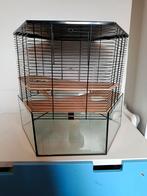 6 hoekige Hamster kooi, Minder dan 60 cm, Kooi, Minder dan 75 cm, Ophalen of Verzenden