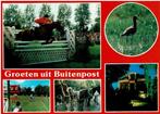 Ansichtkaart Buitenpost, Grutto, Paardensport, Ophalen of Verzenden, 1980 tot heden, Ongelopen, Friesland