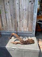 Groot aquarium hout, Ophalen of Verzenden, Zo goed als nieuw, Plant(en), Steen of Hout