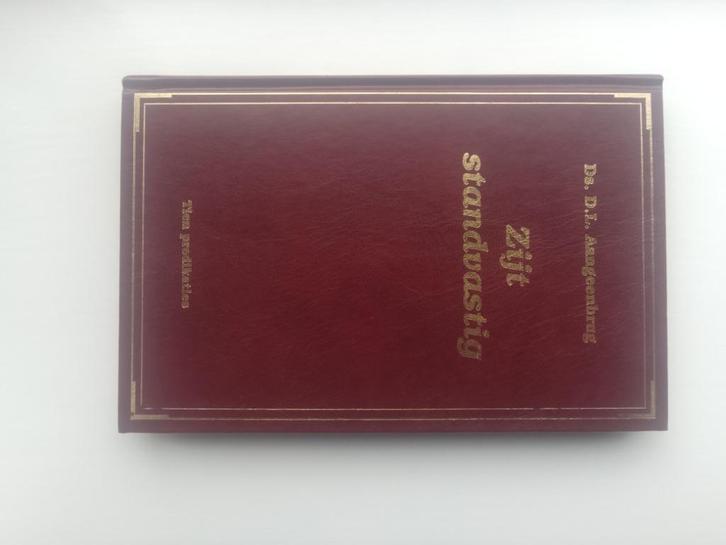 Zijt standvastig - ds. D.L. Aangeenbrug, Boeken, Godsdienst en Theologie, Zo goed als nieuw, Christendom | Protestants, Ophalen of Verzenden