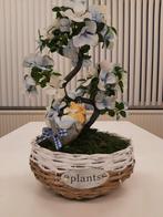 Origineel cadeau - kunstbloemen blauw - varken - plants, Nieuw, Ophalen
