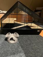 Hamsterkooi + paar benodigdheden, Ophalen, Zo goed als nieuw, Hok