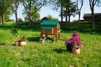 Trespa Kippenhok / Duplex 4XL - Cucciolotta, Dieren en Toebehoren, Pluimvee | Toebehoren, Ophalen of Verzenden, Nieuw, Kippenhok of Kippenren