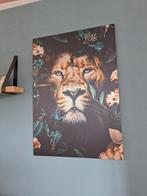 Leeuw foto op aluminium 70x100cm, Ophalen, Nieuw, 75 tot 100 cm, Foto of Poster