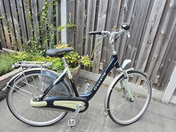 Gazelle orange  beschikbaar voor biedingen