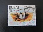 Postzegel Vogel: Dwergstern uit Dubai, Ophalen of Verzenden, Gestempeld, Dier of Natuur