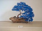 Aluminium bonsai boompjes., Hobby en Vrije tijd, Ophalen of Verzenden, Nieuw