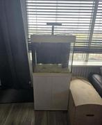 200 liter bak  lege zee zout aquarium, Dieren en Toebehoren, Vissen | Aquaria en Toebehoren, Ophalen, Nieuw, Leeg aquarium
