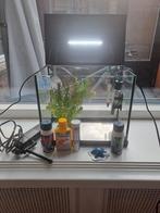 Aquarium met licht verwarmingselement pomp kunstplant, Dieren en Toebehoren, Vissen | Aquaria en Toebehoren, Ophalen, Zo goed als nieuw