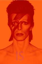 David Bowie - INSIDE (BOEK), Boeken, Ophalen of Verzenden, Zo goed als nieuw