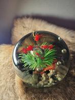 Glazen presse papier - 9 cm - decoratief, Ophalen, Gebruikt