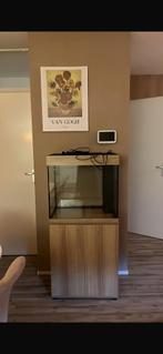 Aquarium juwel met toebehoren, Ophalen, Gebruikt