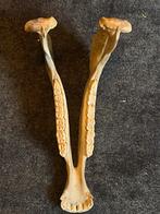 Hele mooie paardenschedel!, Verzamelen, Dierenverzamelingen, Verzenden