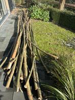 Wilgentakken om te planten - Gratis!, Tuin en Terras, Ophalen
