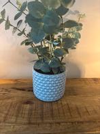 Twee mooie lichtblauwe potten met kunst eucalyptus, Ophalen, Zo goed als nieuw