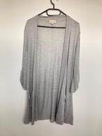 Artu Napoli dungebreid vest grijs maat 38 lang, Kleding | Dames, Maat 38/40 (M), Artu Napoli, Ophalen of Verzenden, Zo goed als nieuw