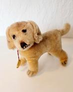 Leuke oude Teckel van Teddy-Hermann, Ophalen of Verzenden