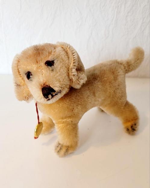 Leuke oude Teckel van Teddy-Hermann, Antiek en Kunst, Antiek | Speelgoed, Ophalen of Verzenden