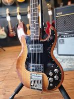 ik zoek een peavey t-40, Ophalen, Gebruikt