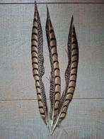 3 fazant veren , rui veren fazant, Gebruikt, Materiaal, Ophalen of Verzenden, Nvt