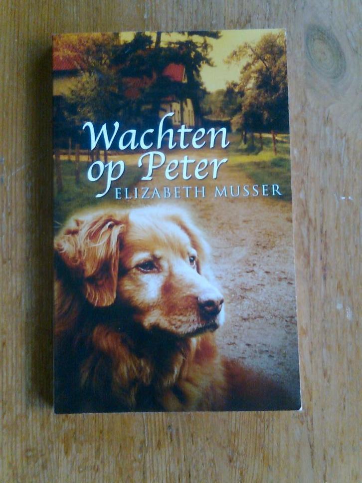 Wachten op Peter, door Elisabeth Musser, Boeken, Kinderboeken | Jeugd | 13 jaar en ouder, Zo goed als nieuw, Ophalen of Verzenden