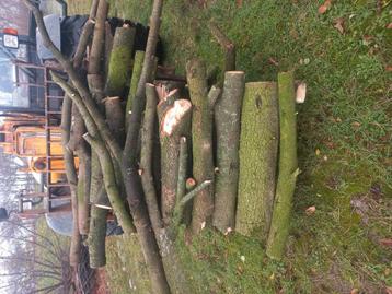 Brand hout   ca kuub of 2  beschikbaar voor biedingen