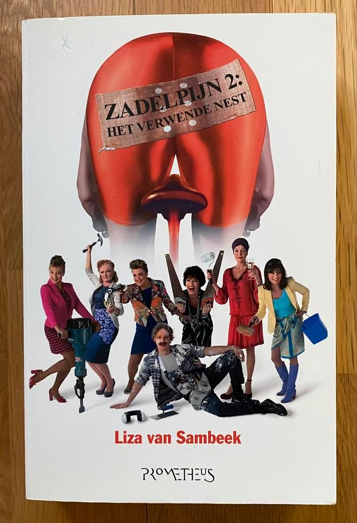 ZADELPIJN 2 : HET VERWENDE NEST - Liza van Sambeek (2012), Boeken, Romans, Gelezen, Nederland, Verzenden
