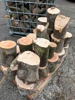 Stamhout essenhout haardhout stammen, Tuin en Terras, Haardhout, Minder dan 3 m³, Ophalen of Verzenden