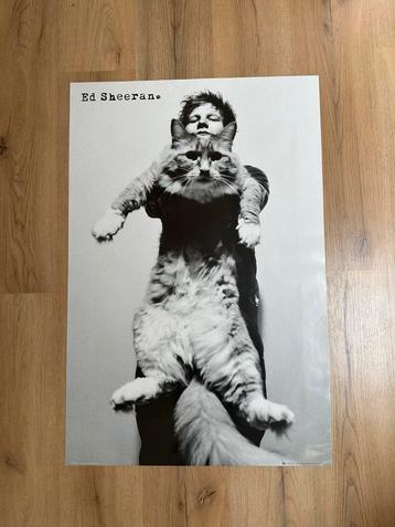 61x91cm Ed Sheeran poster beschikbaar voor biedingen