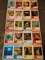 AH Super Dieren Kaarten - 20 Stuks, Ophalen of Verzenden, Zo goed als nieuw, Meerdere kaarten