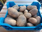Aardappels, Diversen, Ophalen of Verzenden