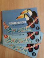 Plaatjesalbums Vogelpracht in Avifauna (Deel 1 t/m 3), Boeken, Gelezen, Ophalen of Verzenden, Plaatjesalbum