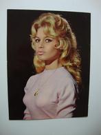 Brigitte Bardot groot formaat ansichtkaart #4, Ophalen of Verzenden, Gebruikt, Foto of Kaart