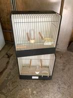 tt kooien - vervoerskooien, Dieren en Toebehoren, Ophalen, Gebruikt, Hout, Vogelkooi