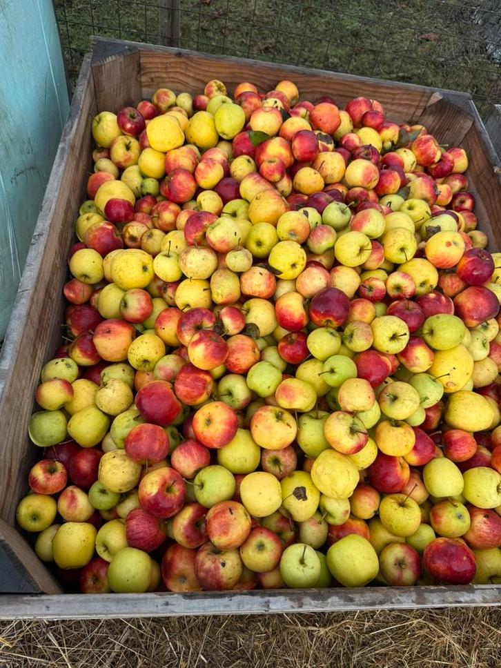 Heerlijke appels!, Diversen, Levensmiddelen, Ophalen