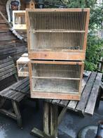 Hokken kooien, Dieren en Toebehoren, Ophalen of Verzenden, Minder dan 75 cm, Kooi, Minder dan 60 cm