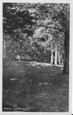 Dieren, Carolineberg, bankje, mannen, vrouw, Verzenden, 1940 tot 1960, Gelopen, Gelderland