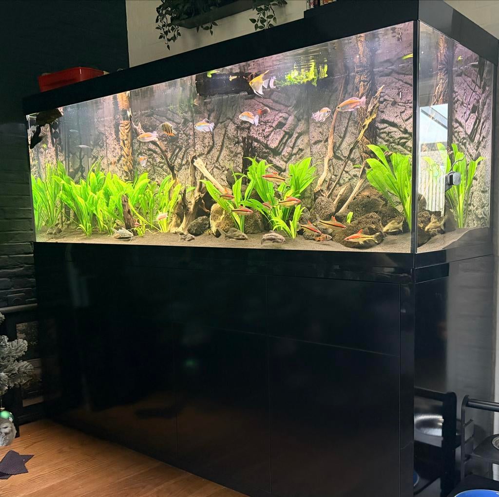 Aquatlantis sublime 200x60 met onderkast zwart, Dieren en Toebehoren, Vissen | Aquaria en Toebehoren, Zo goed als nieuw, Gevuld zoetwateraquarium